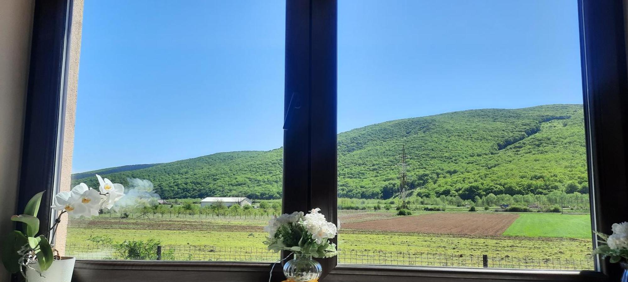 Sard Casa Beth Shalomヴィラ エクステリア 写真